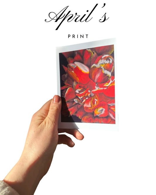 A Monthly Print Club (Wet Paint Print Club)